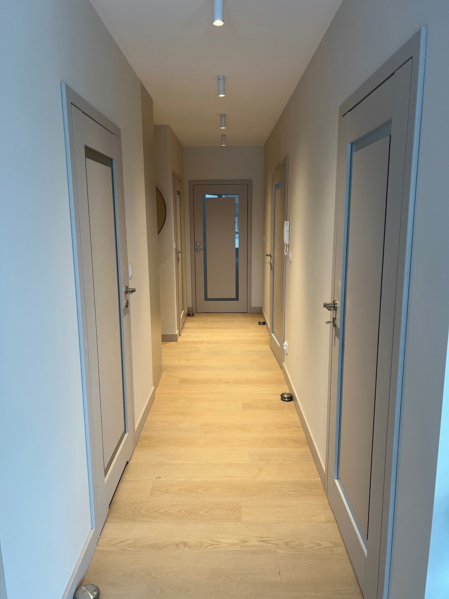 Jasny korytarz z drewnianą podłogą i szarymi drzwiami z listwami. Oświetlenie sufitowe punktowe. Minimalistyczny design wnętrza.