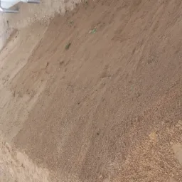 Świeżo wyrównany teren z brązową ziemią, widoczne ślady opon, w tle budynek z białą elewacją i zielenią drzew.