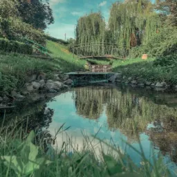 Metalowy mostek łukowy nad niewielkim wodospadem i spokojnym strumieniem, otoczony zielenią drzew i trawy, z odbiciem drzew w wodzie.