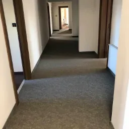 Długi, pusty korytarz biurowy z szarą wykładziną dywanową, białymi ścianami i ciemnobrązowymi drzwiami, widok z niskiej perspektywy.