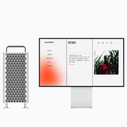 Władysław Gawlas - Strona internatowa