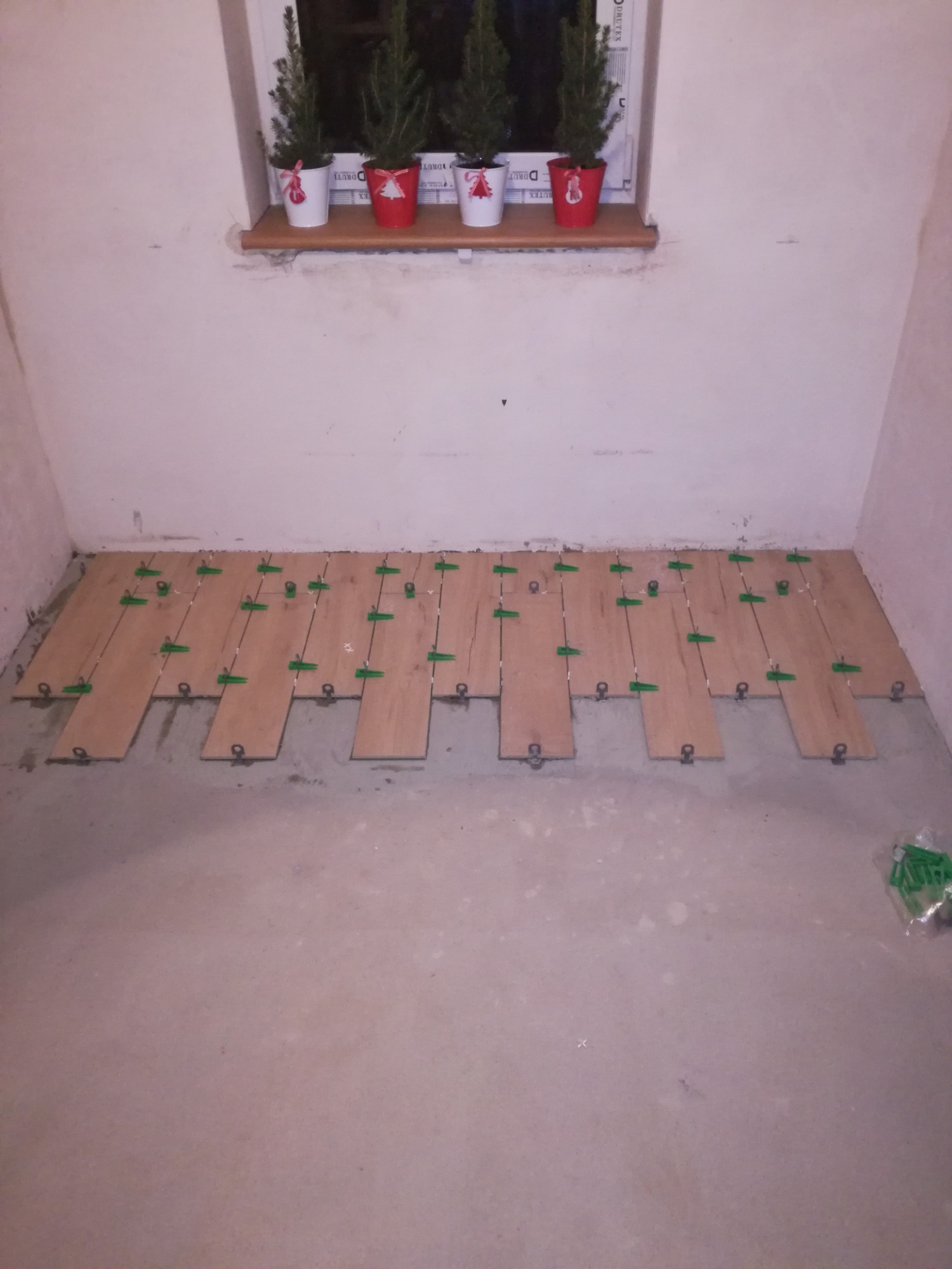 Fragment podłogi z częściowo ułożonymi panelami drewnianymi, z użyciem zielonych klipsów dystansowych, widoczne doniczki z choinkami na parapecie okna.