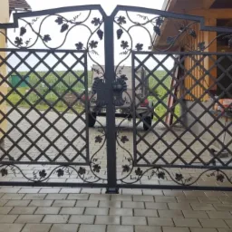 Dwuskrzydłowa, czarna brama wjazdowa z motywem winogron i liści, kratą w romby oraz ozdobnym orłem pośrodku, zamontowana na posesji z brukowanym podjazdem.