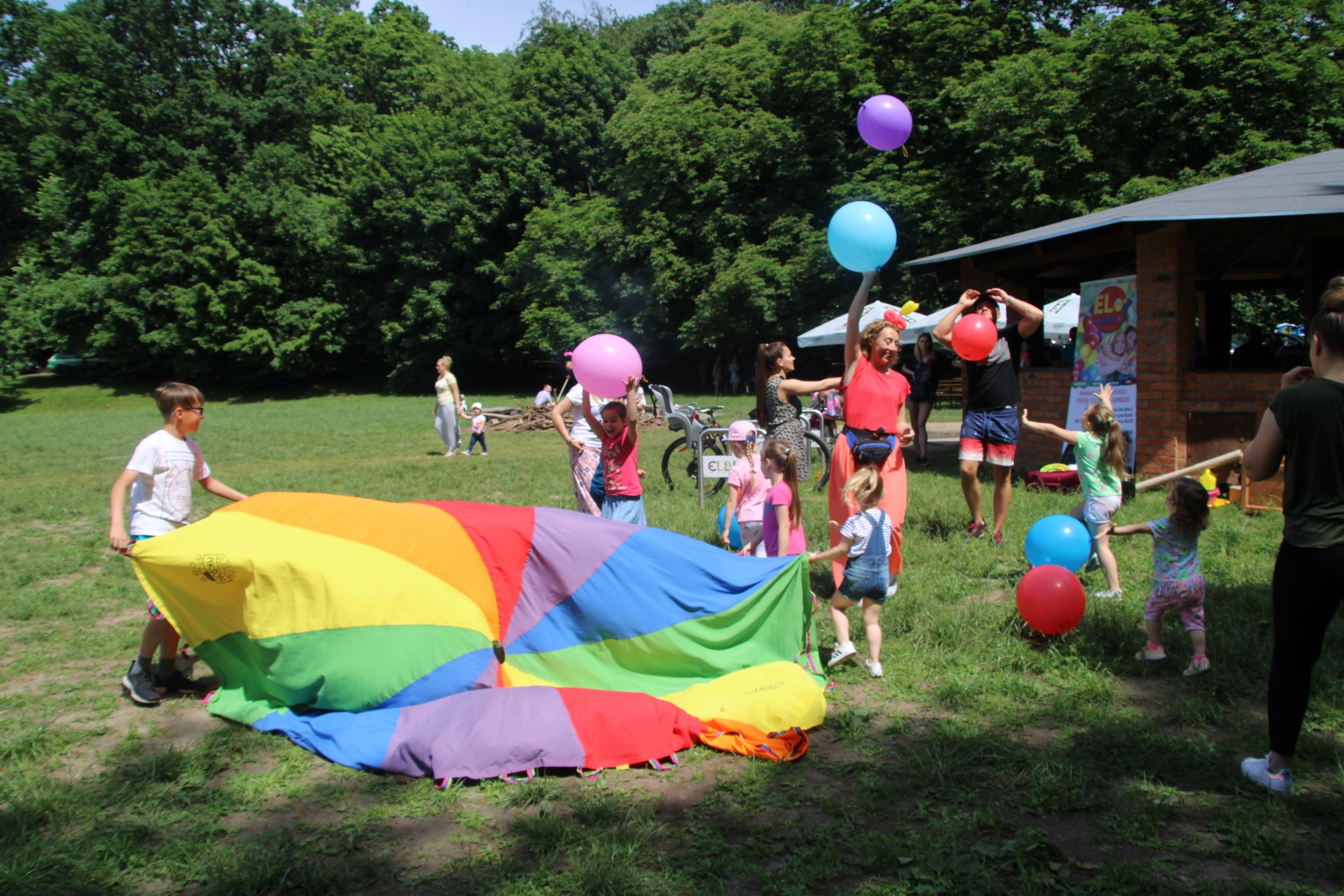 Animacje na powietrzu - urodziny, festyny, pikniki
