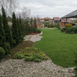 Starannie zaprojektowany ogród z równo przystrzyżonym trawnikiem, ozdobnymi rabatami wysypanymi kamykami i korą, oraz rzędem wysokich tuj w tle, tworzący uporządkowaną przestrzeń.