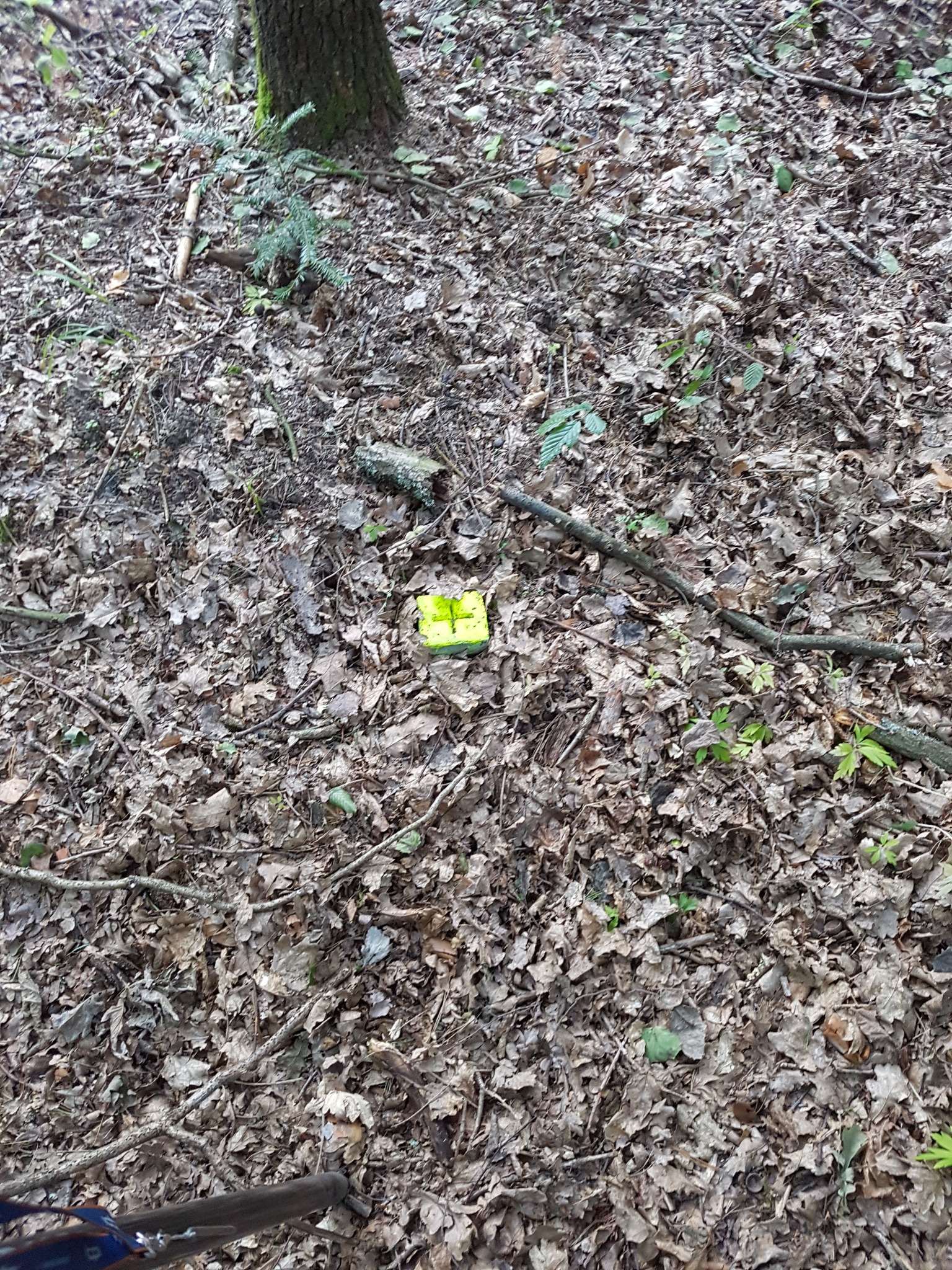 Żółty znacznik geodezyjny na ściółce leśnej, widoczny fragment drzewa w tle.