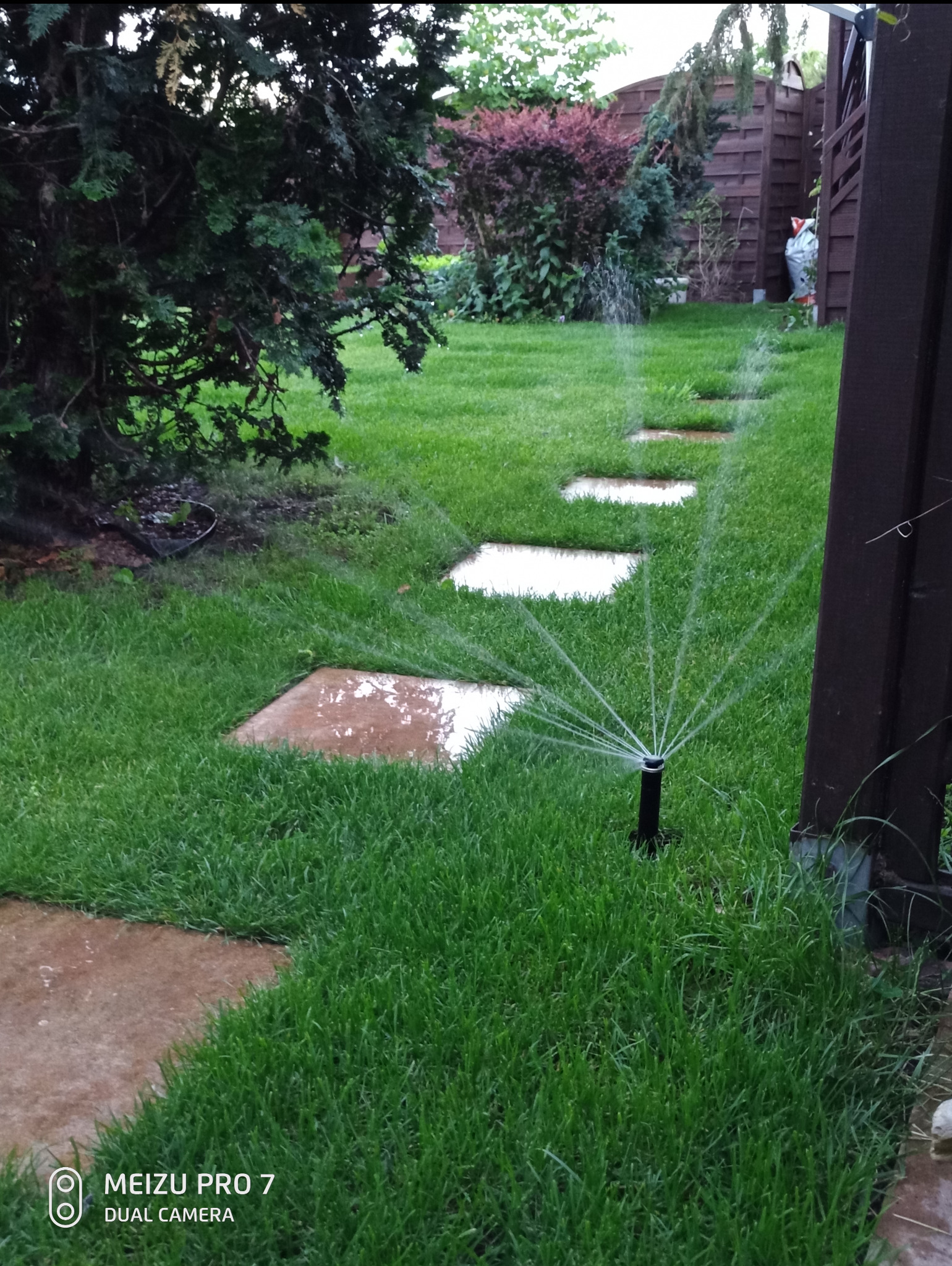 Automatyczny system nawadniania trawnika w ogrodzie. Zraszacze rozpylają wodę na soczystą trawę, obok ułożone są kwadratowe płyty chodnikowe.