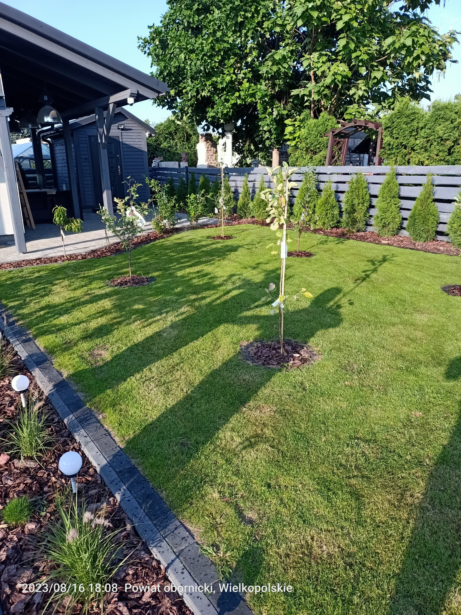 Zadbany trawnik z młodymi drzewkami owocowymi, obrzeża wyłożone korą i kostką. W tle widoczne tuje i drewniane ogrodzenie. Całość w słonecznym świetle.