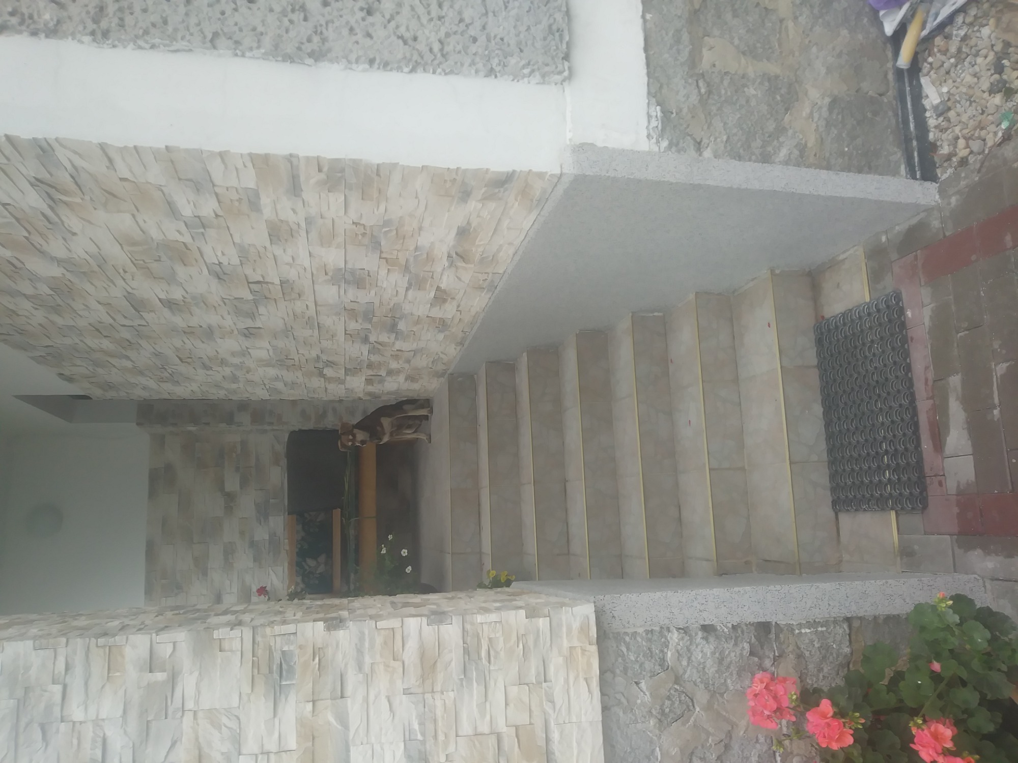 Schody wejściowe wykończone płytkami imitującymi kamień, z widoczną wycieraczką i kwiatami w doniczce, w tle dekoracja ścienna z motywem zwierzęcym.