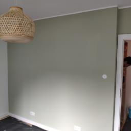 RJA Building - Świeżo pomalowana ściana w odcieniu oliwkowej zieleni z dekoracyjną lampą z wikliny, widoczne gniazdka elektryczne i zabezpieczona folią podłoga.