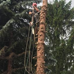 Pielęgnacja ogrodów Czosnów 3