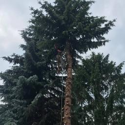 Pielęgnacja ogrodów Czosnów 2