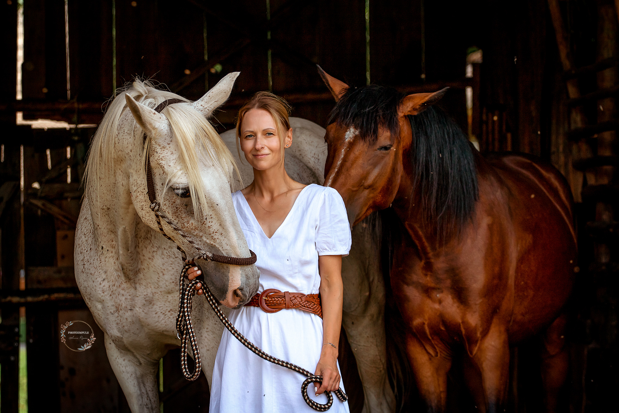 Portret kobiety w białej sukience z brązowym paskiem, stojącej między dwoma końmi: białym w brązowe plamki i brązowym, w stajni.