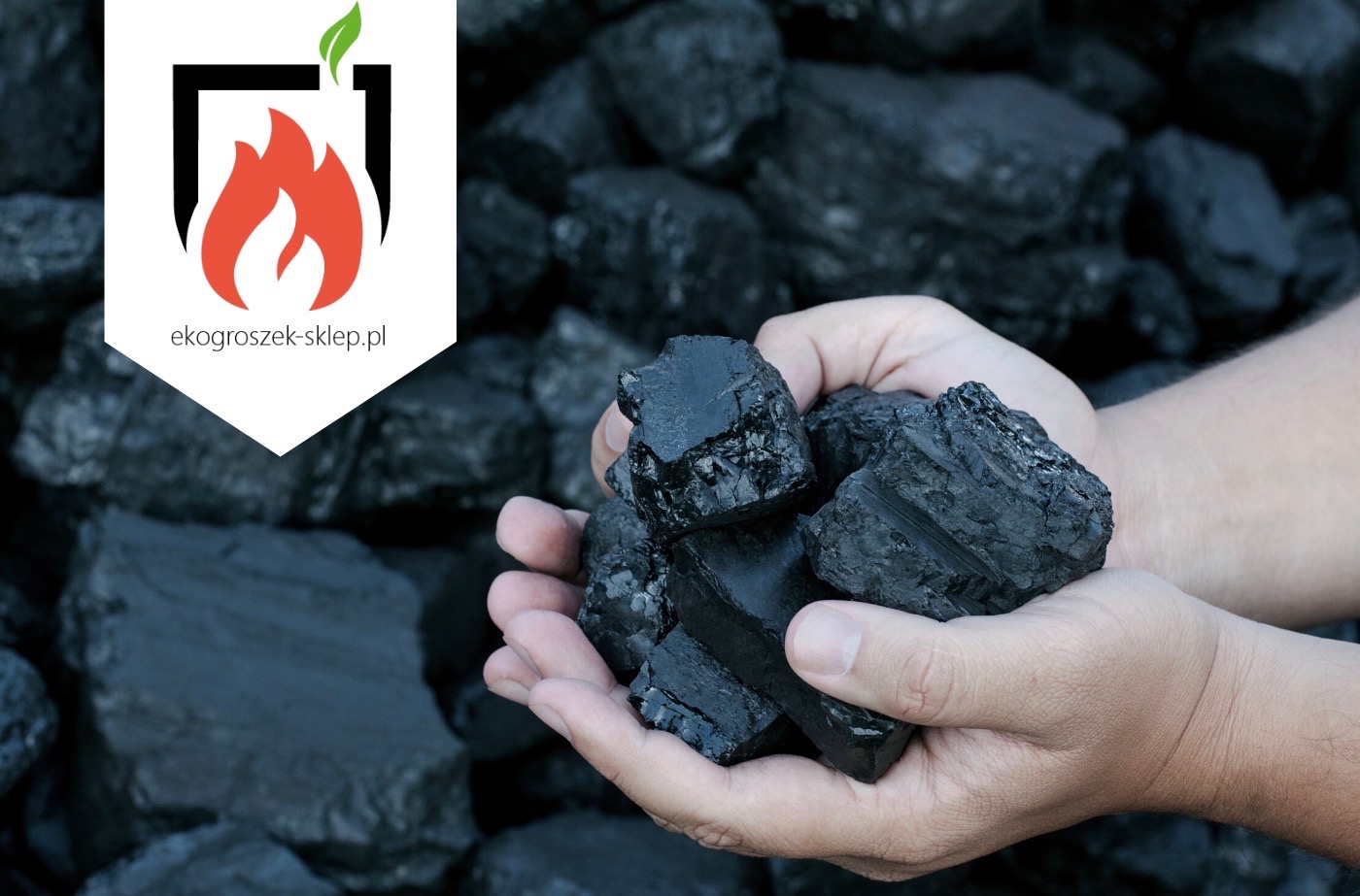 Dłonie trzymają bryły czarnego węgla na tle większej sterty węgla, w lewym górnym rogu logo firmy z płomieniem i adresem strony internetowej.