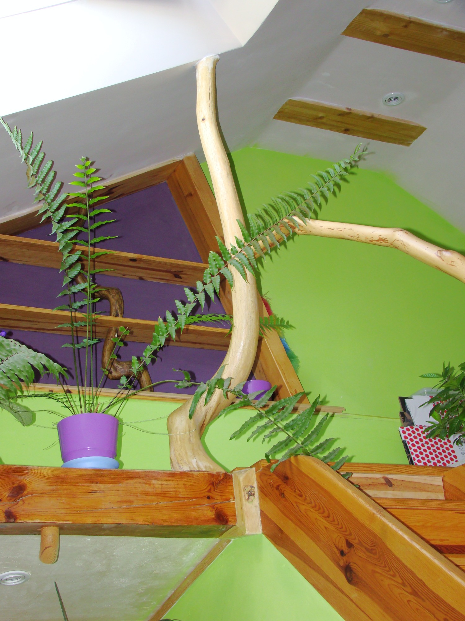 Drewniana balustrada z naturalnych pni drzew, tworząca nietypową konstrukcję w jasnym wnętrzu z zielonymi ścianami i roślinami doniczkowymi.