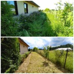 Porównanie stanu trawnika przed i po koszeniu wzdłuż ogrodzenia i budynku, widoczne strzyżone krzewy i ścieżka z kostki brukowej.