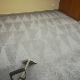 Szary dywan z geometrycznym wzorem w trakcie czyszczenia, widoczna dysza urządzenia czyszczącego, ślady po czyszczeniu w postaci jaśniejszych pasów, fragment szafy i ściany w tle.