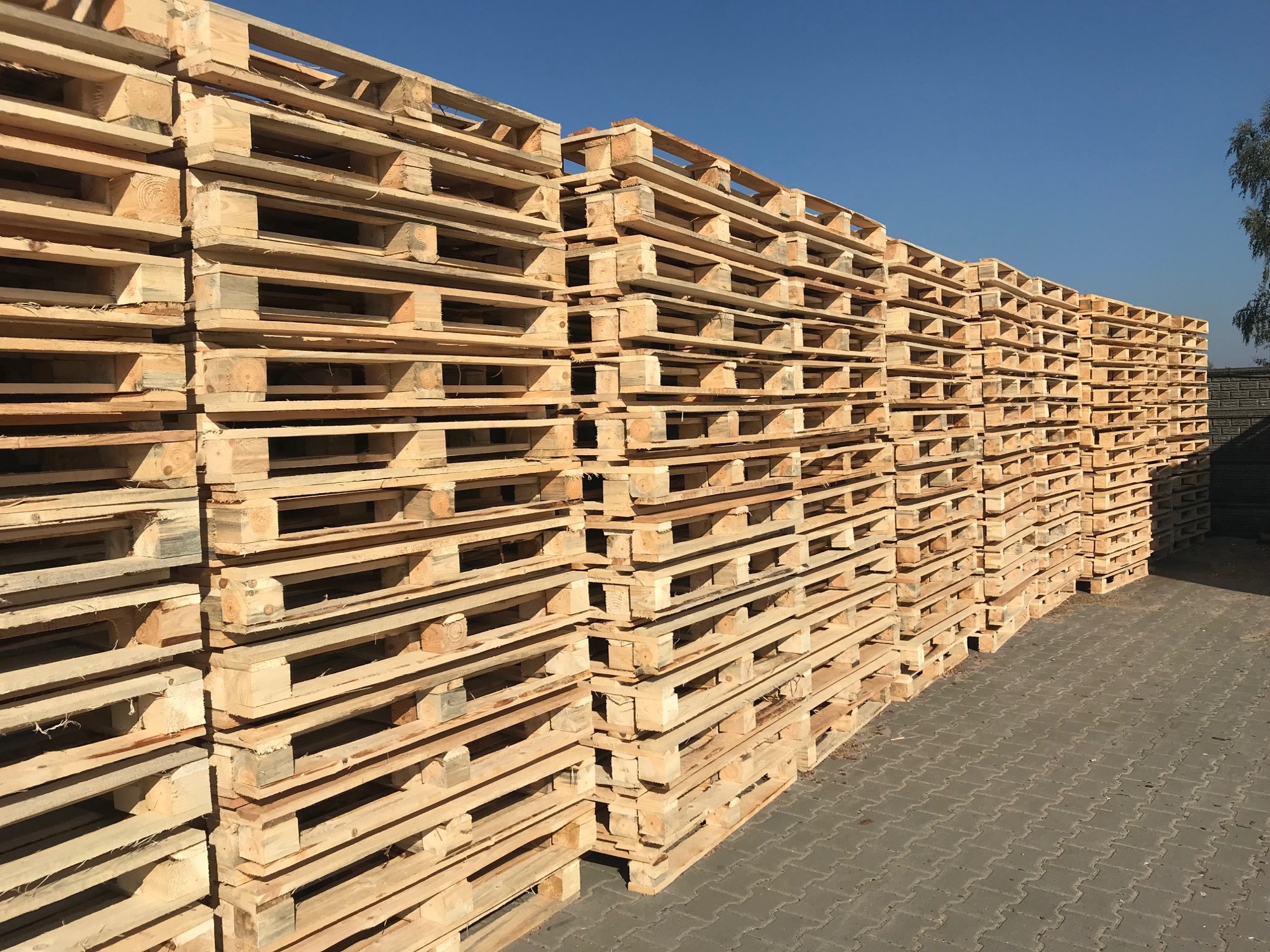 Stos palet drewnianych ułożonych na brukowanej powierzchni pod błękitnym niebem, widoczne drzewo w tle.