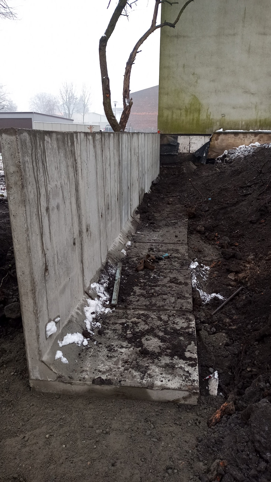 Surowy betonowy mur oporowy w trakcie budowy, widoczne ślady po szalunkach, ziemia i pozostałości śniegu u podstawy, drzewo bez liści rosnące tuż za murem, pochmurne niebo w tle.