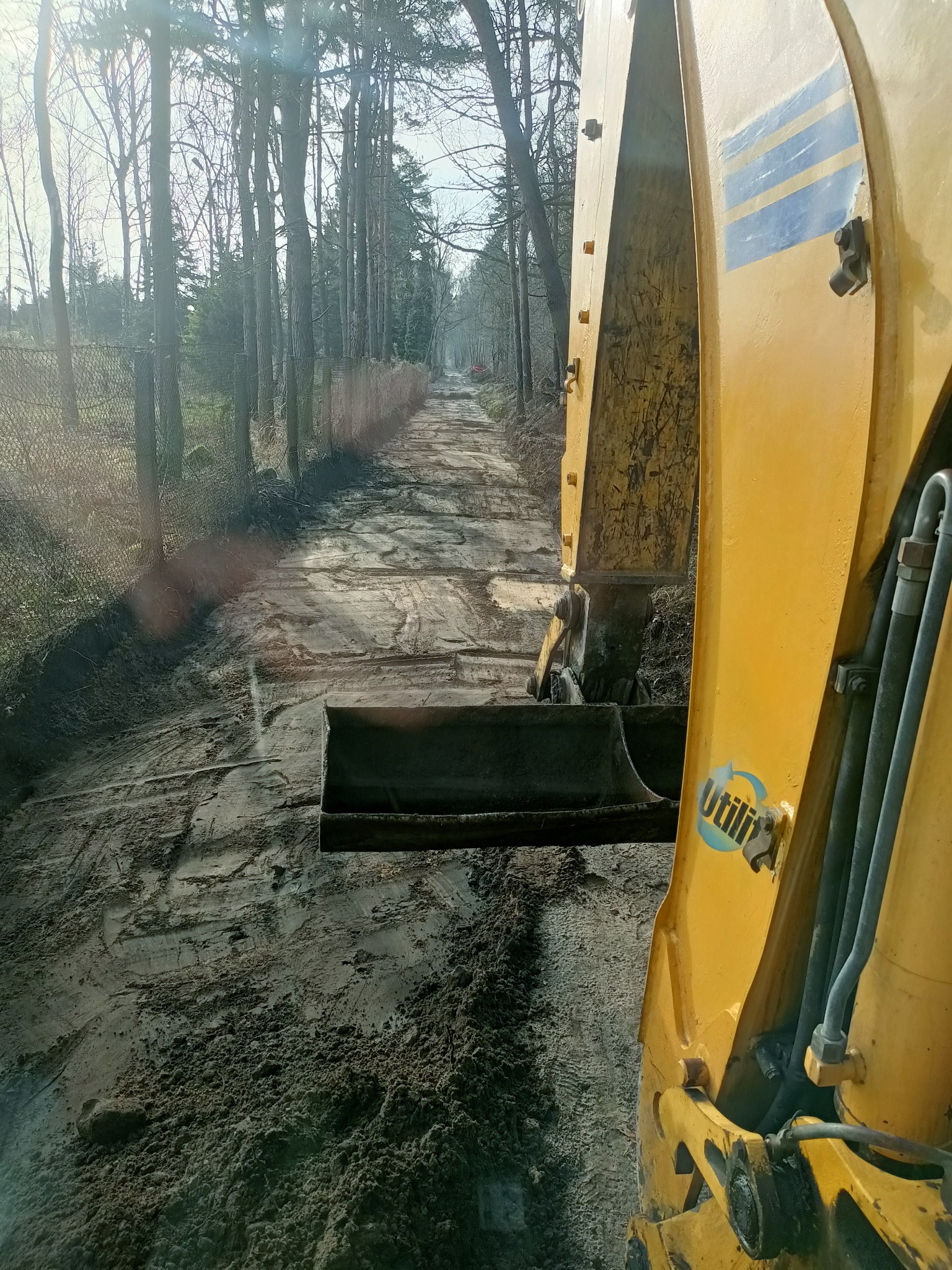 Żółta koparka z łyżką profiluje grunt na leśnej drodze, widoczne ślady opon i świeżo wyrównana powierzchnia.