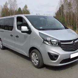 Srebrny Opel Vivaro, widok z przodu na tle drzew i asfaltowej drogi, z zasłoniętą tablicą rejestracyjną.
