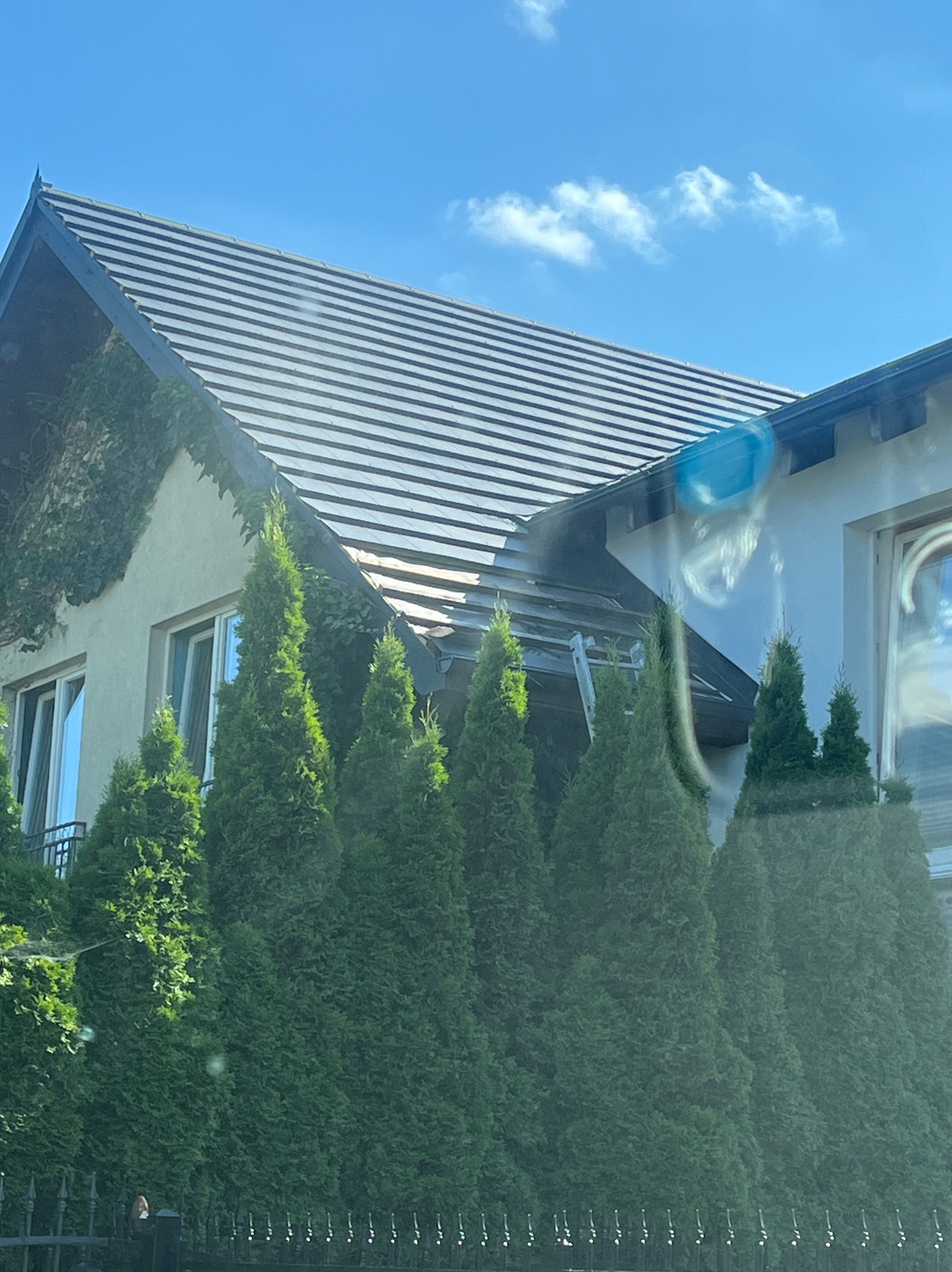 Dom jednorodzinny z szarą dachówką, częściowo zasłonięty rzędem wysokich, zielonych iglaków; widoczna drabina oparta o dach sugeruje prace dekarskie.