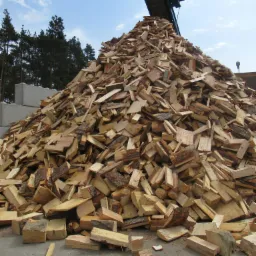 Stos pociętego drewna na placu składowym, widoczne kawałki z korą i bez kory, w tle drzewa i betonowe bloki.