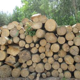 Drewno kominkowe Luszowice 19