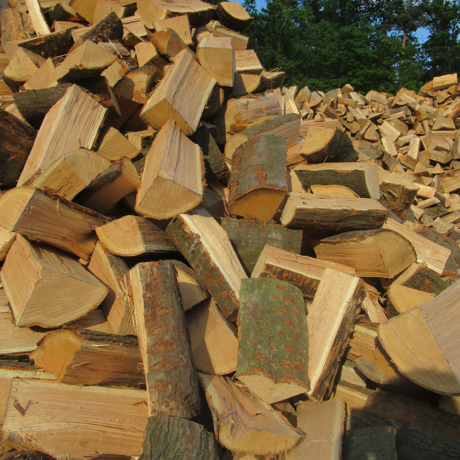 Stos pociętego drewna kominkowego z widoczną korą na niektórych kawałkach, ułożonego w dużą pryzmę na zewnątrz, z zielenią drzew w tle.