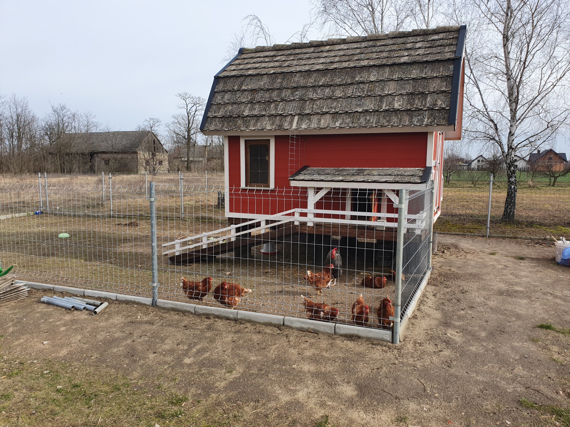 Czerwony kurnik z szarą dachówką, otoczony siatką, z kurami w środku i na zewnątrz, widoczne drzewa w tle.