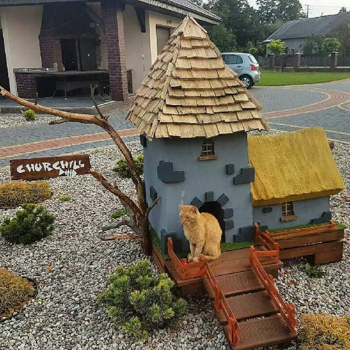 Nietypowa budowla ogrodowa przypominająca miniaturowy zamek z drewnianym dachem i schodami, na których siedzi rudy kot, obok tabliczka z napisem 'Churchill'.