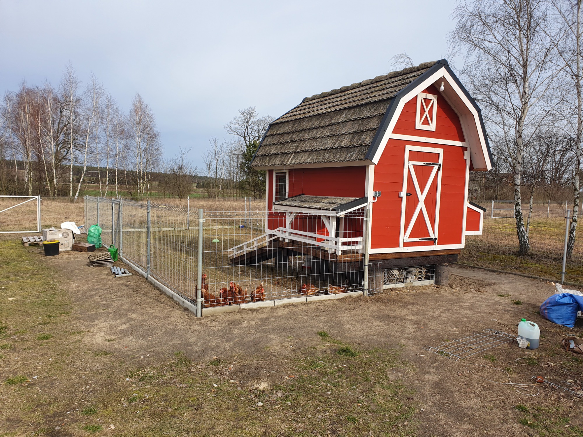 Czerwony kurnik z białymi detalami i brązowym dachem, otoczony siatką, z widocznymi kurami wewnątrz, na tle drzew bezlistnych.