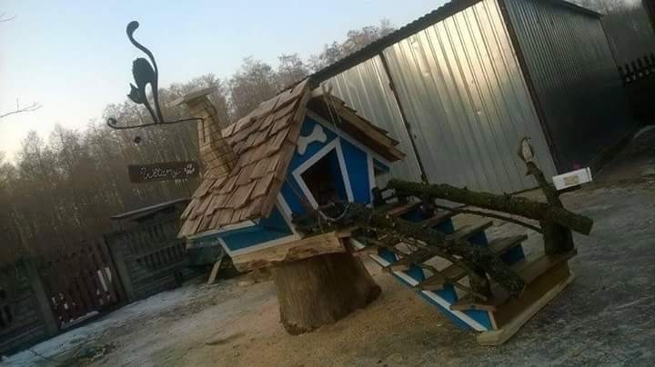 Nietypowy, niebiesko-biały domek dla psa z drewnianym dachem i schodami z gałęzi, umieszczony na pniu drzewa, z tabliczką 'Welcome' zwieńczoną sylwetką kota.