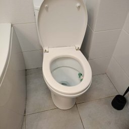 PRESTIGE EDYTA LANGHOLTZ - Biała toaleta z otwartą klapą w łazience z szarymi płytkami. W muszli widoczne resztki po czyszczeniu. Obok szczotka do WC.