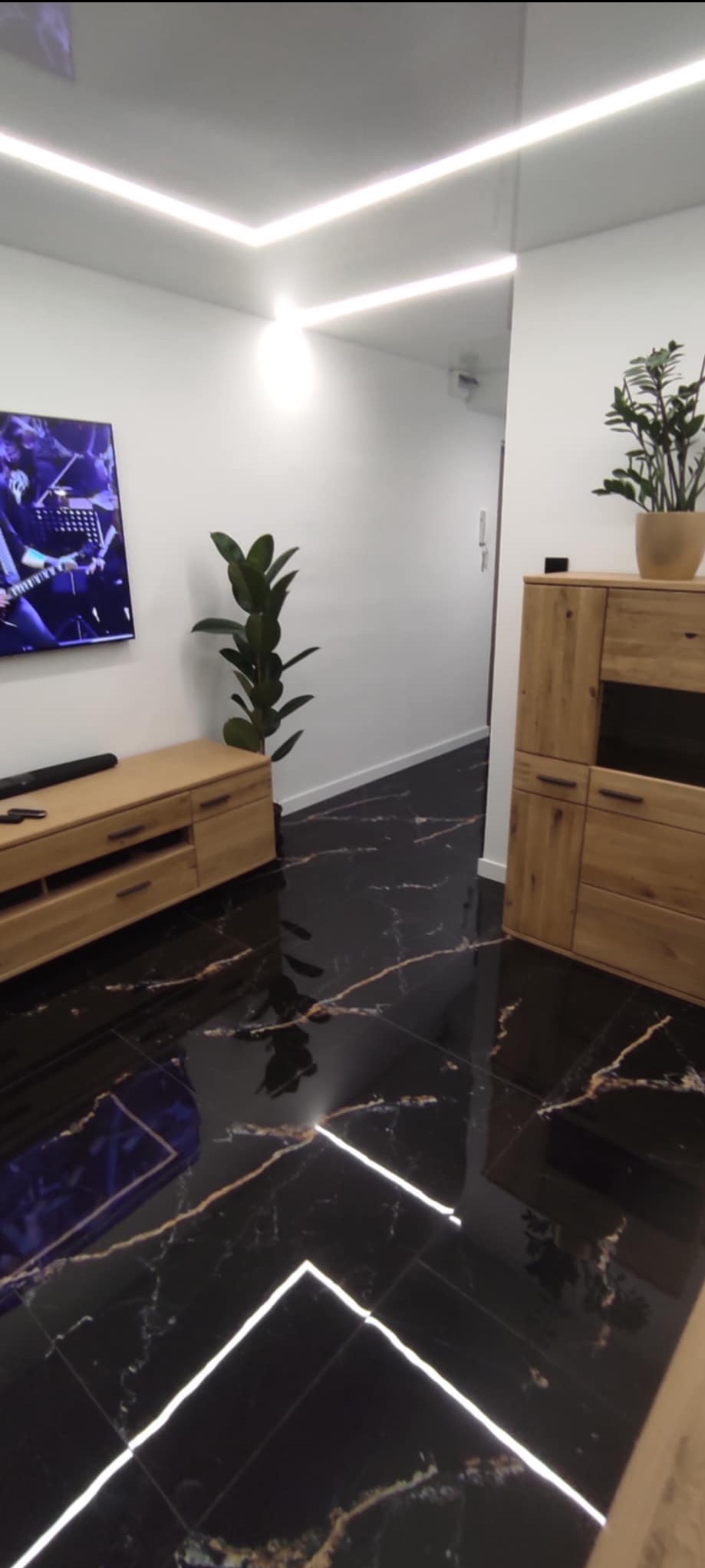 Salon z czarną, marmurkową podłogą, drewnianymi meblami i roślinami. Oświetlenie sufitowe LED podkreśla nowoczesny charakter wnętrza.