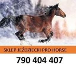 Sklep Jeździecki PRO HORSE
https://pro-horse.pl/