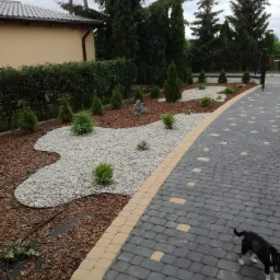 Ogród z wysypaną korą i białymi kamieniami, ozdobnymi iglakami, obok ułożona kostka brukowa z żółtymi akcentami, mały pies w prawym dolnym rogu.