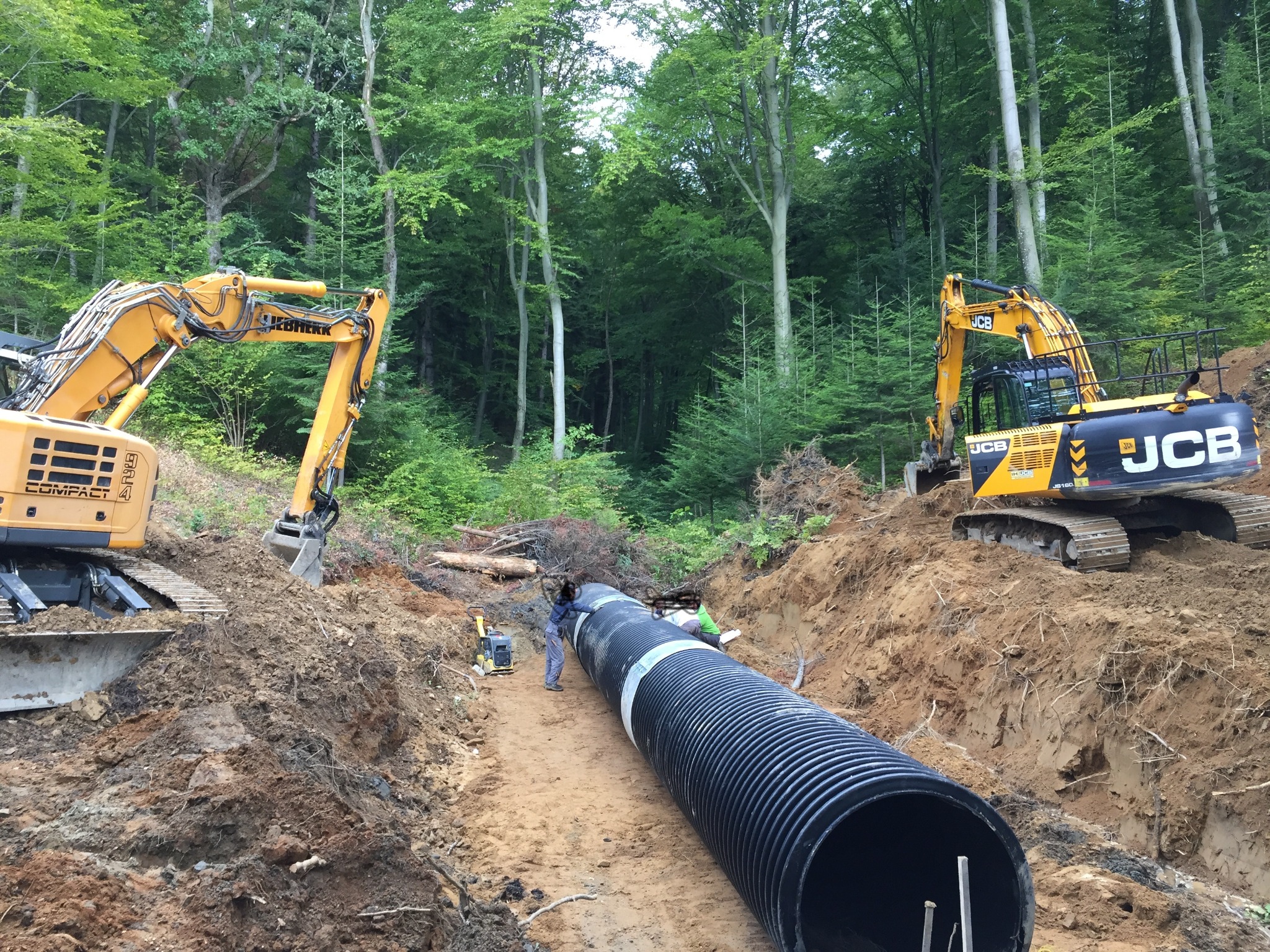 Dwa żółte i czarne koparki Liebherr i JCB pracują przy układaniu długiej, czarnej rury w wykopie na tle zielonego lasu. Dwóch pracowników nadzoruje proces.