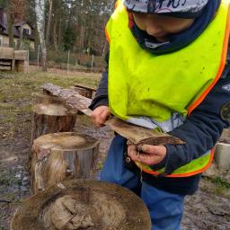 Leśne Smyki Lepsze niż Przedszkole 