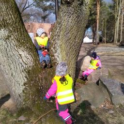 Leśne Smyki Lepsze niż Przedszkole 