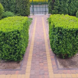 Ułożona ścieżka z kostki brukowej w odcieniach brązu i żółci, prowadząca do zielonej bramy i widoku na pole rzepaku w tle, otoczona równo przyciętymi krzewami i tujami.