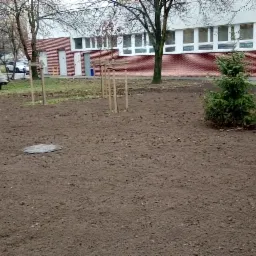 Przygotowany teren pod nasadzenia z młodymi drzewkami i małą choinką, widoczny właz kanalizacyjny, biały bus i budynek w tle.