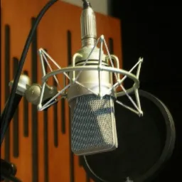 Studyjny mikrofon pojemnościowy z pop filtrem, uchwytem antywibracyjnym i kablem XLR, na tle drewnianej ściany z pionowymi panelami akustycznymi.