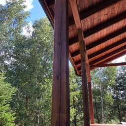 Konstrukcje drewniane i wykończenia Kacper Chmielewski - Drewniana konstrukcja z belek i desek, widok z dołu, drzewa w tle