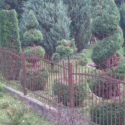 Trawka - Metalowe ogrodzenie palisadowe w kolorze brązowym, oddzielające wypielęgnowany ogród z formowanymi krzewami i drzewami iglastymi.