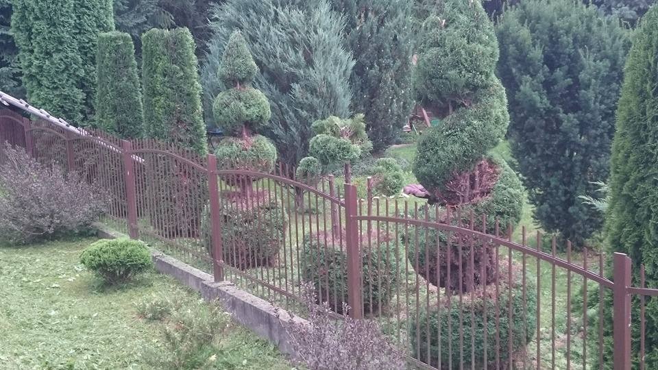 Metalowe ogrodzenie palisadowe w kolorze brązowym, oddzielające wypielęgnowany ogród z formowanymi krzewami i drzewami iglastymi.