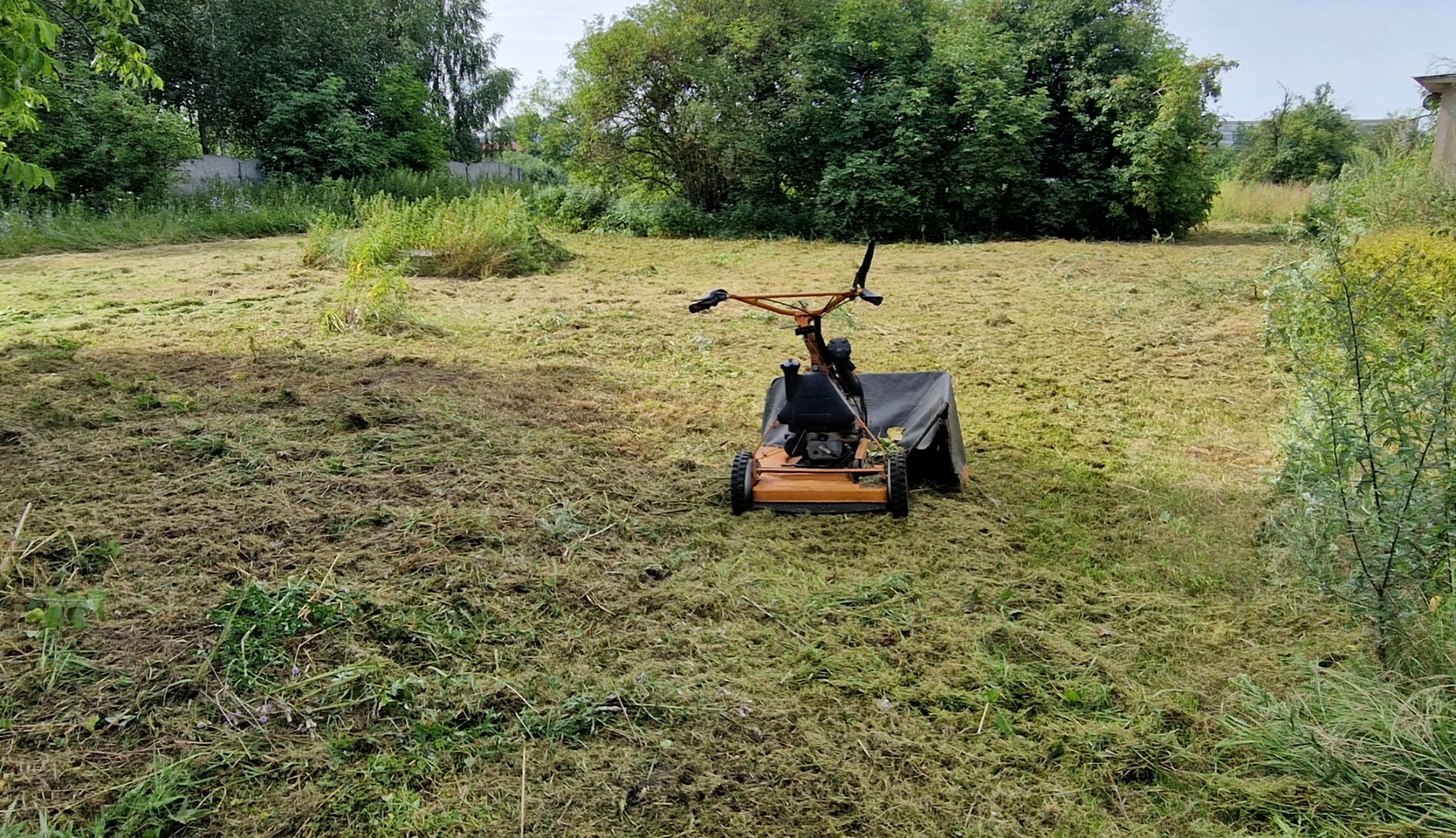 Koszenie karczownicą