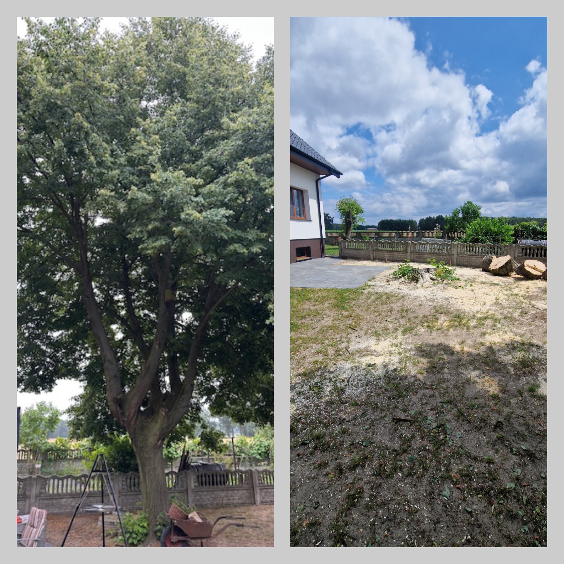 Była lipa ale nie ma Lipy.