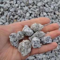 Granit, dalmatyńczyk 11-22