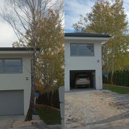 Wycinka drzew Lublin 4